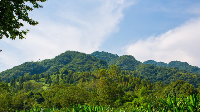 青城美景