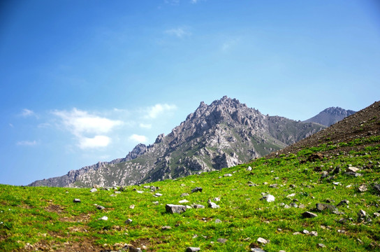 天山草场