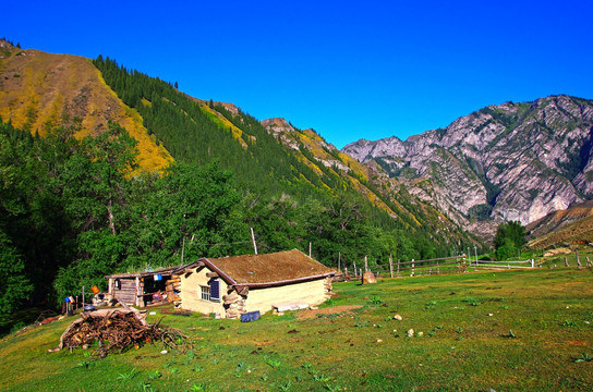 天山牧场