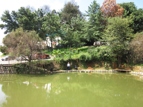青山綠水魚塘
