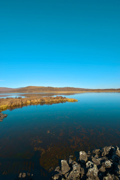 杜鹃湖