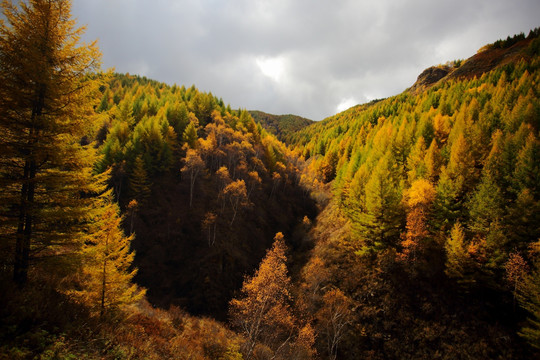 苏木山