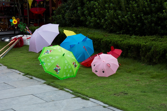雨伞 花伞