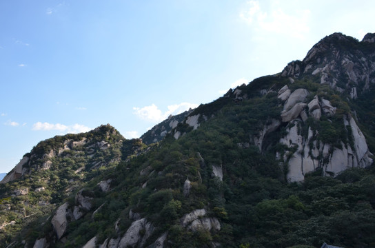 青山