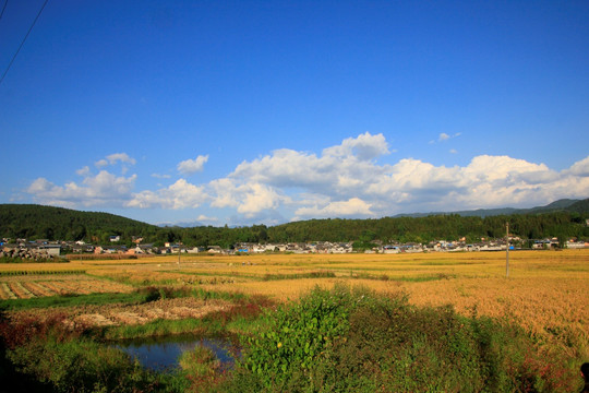 田野风光