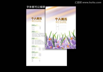 簡歷 紫花簡歷