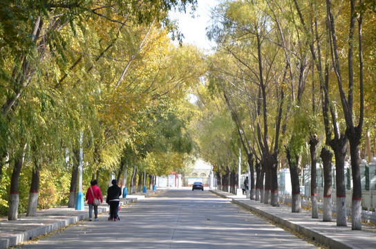 秋季街道