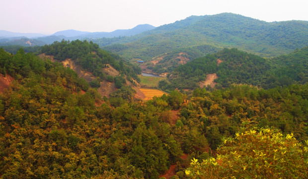 丹霞地貌 峡谷 丘壑 山景 国