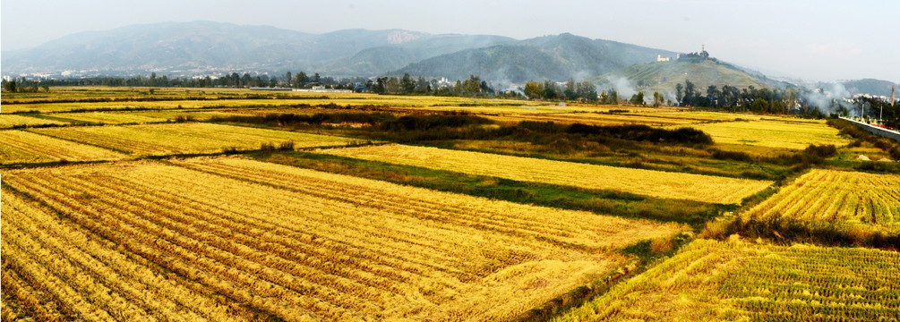 秋收田园风光全景图