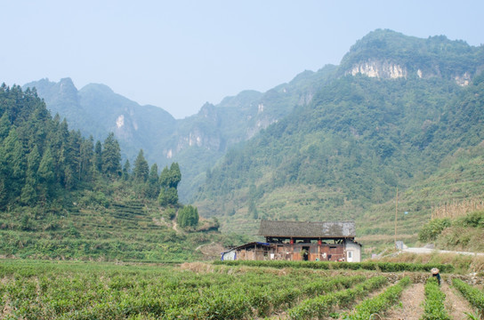 山村