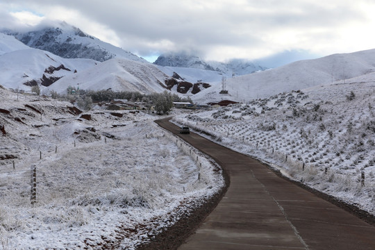 卓尔山 公路