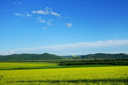 田园风光