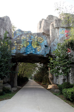 汤池 金孔雀 温泉