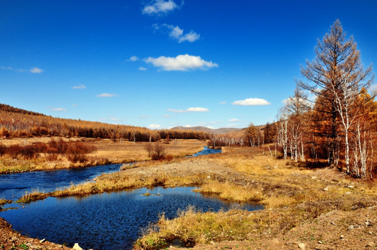 阿尔山森林公园