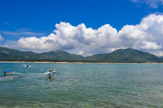 海洋 深圳西冲