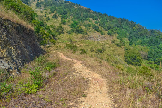 山路 山野小路