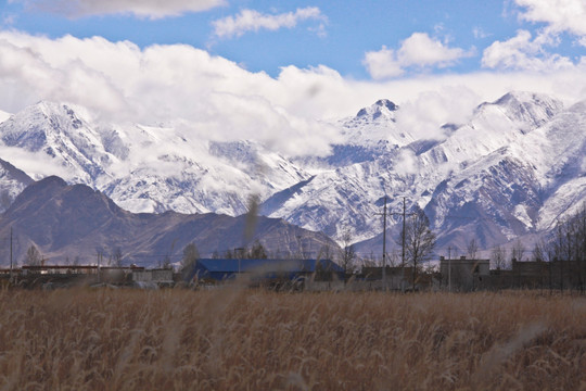 雪山草地