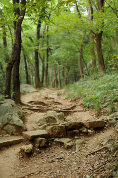 上山的小路 崎岖的爬山山路