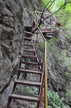 楼梯山路