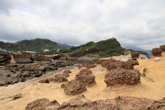 台湾野柳风景区 礁石 覃状岩