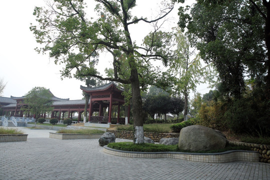 公园 亭台楼阁 树木 风景