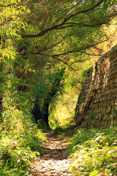 山间小路