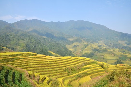 龙脊梯田