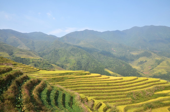 龙脊梯田