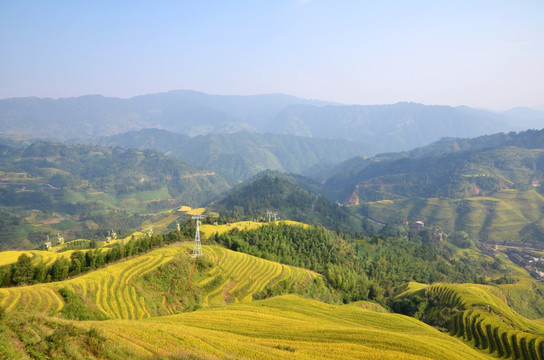 龙脊梯田