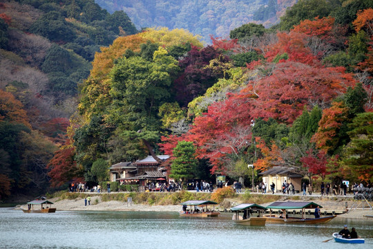 京都岚山红叶水上划船