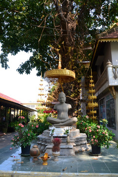 柬埔寨风光 神龛