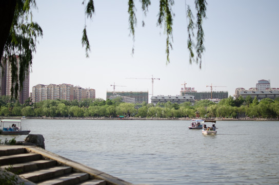 大明湖 济南