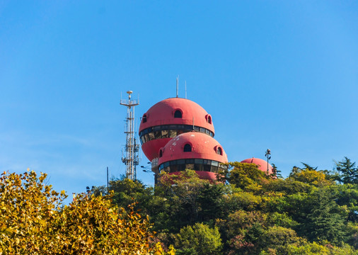 青岛信号山