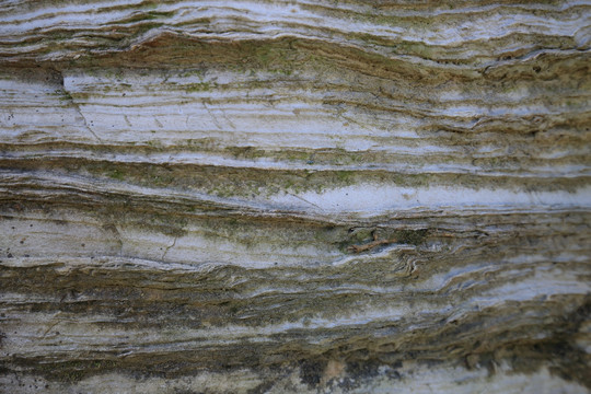 硅质条纹白云石大理岩