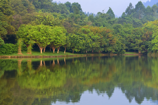 广州大夫山森林公园