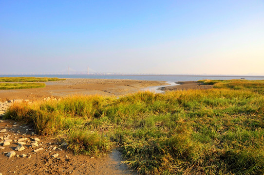 泉州湾河口湿地景观