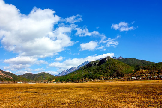 高原牧场