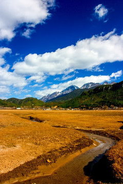 高原牧场