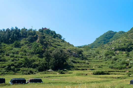 大京村