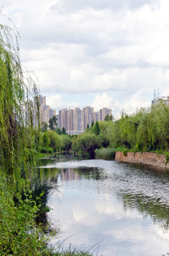 滇池风景