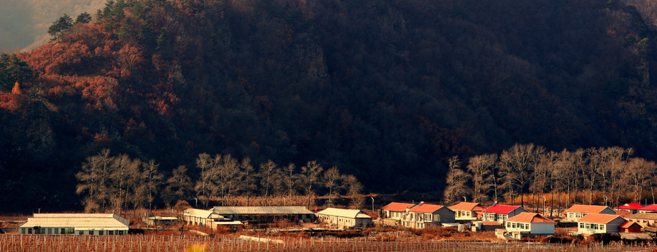 山村 田园 村舍 葡萄园