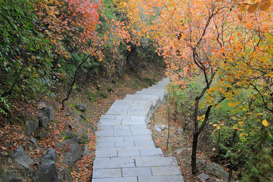 盘山路 石阶