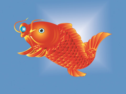 紅鯉魚(yú)（不分層）