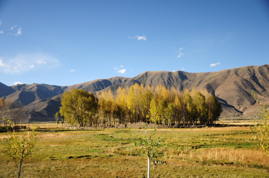 西藏高原自然风光