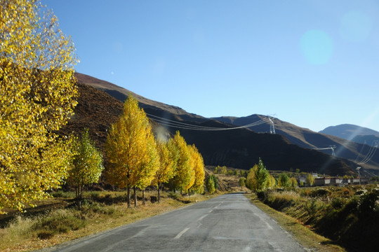 西藏雪山下的公路