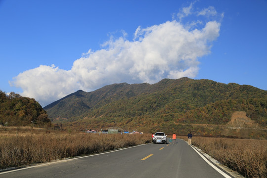 神龙架大九湖 金秋 山水