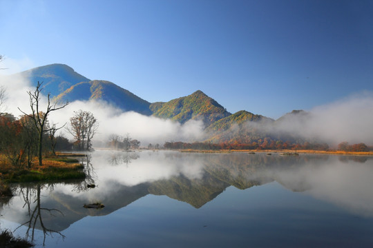 神龙架大九湖 湖泊 金秋 山水