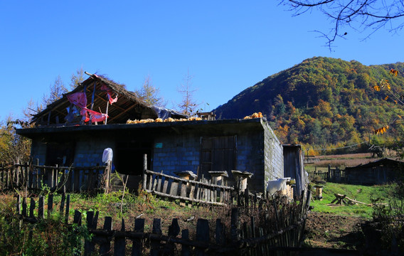 农家 山村老屋