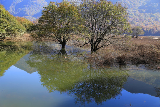 神龙架大九湖 山水景区 金秋