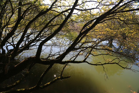 神龙架大九湖 山水景区 金秋